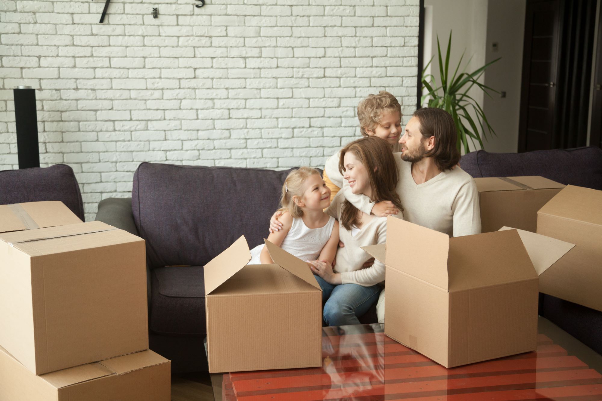 Are Tenants Staying Put or Moving in 2024?